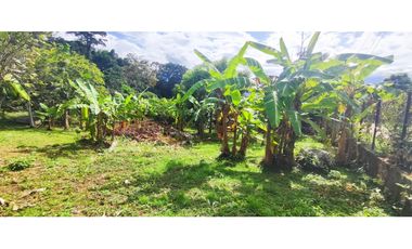 venta de lote de 600 M2 aprox en 135 mill negociables en La Mesa Cund