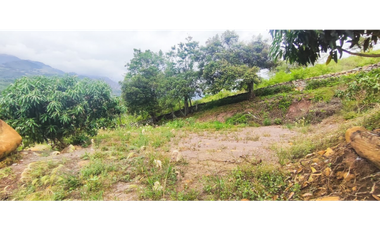 Vendido lote de 669 M2 en 58 mil en La Mesa Cund, COL