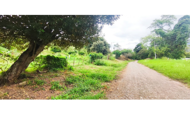 Vendido lote de 669 M2 en 58 mil en La Mesa Cund, COL