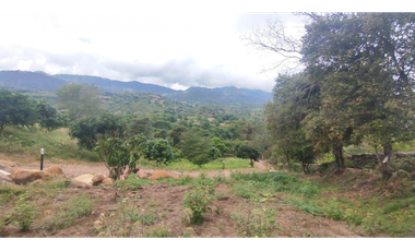 Vendido lote de 669 M2 en 58 mil en La Mesa Cund, COL