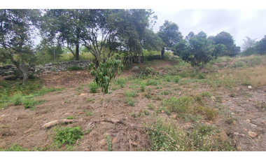 Vendido lote de 669 M2 en 58 mil en La Mesa Cund, COL