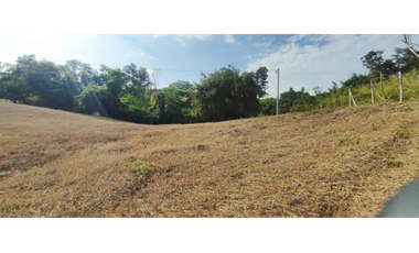 Venta de lote de 1586 M2 en 140 mill en La Mesa Cund, col