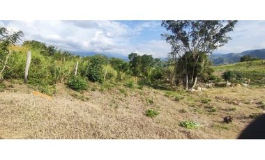 Venta de lote de 1586 M2 en 140 mill en La Mesa Cund, col
