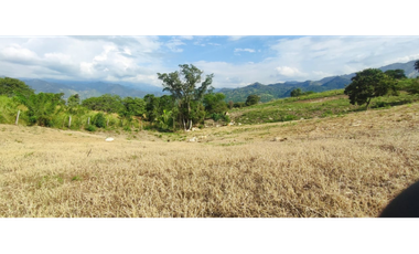 Venta de lote de 1586 M2 en 140 mill en La Mesa Cund, col