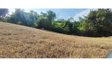 Venta de lote de 1586 M2 en 140 mill en La Mesa Cund, col