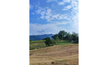 Venta de lote de 1586 M2 en 140 mill en La Mesa Cund, col