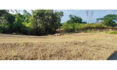 Venta de lote de 1586 M2 en 140 mill en La Mesa Cund, col