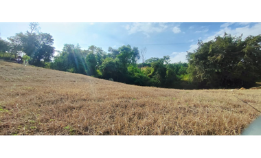 Venta de lote de 1586 M2 en 140 mill en La Mesa Cund, col