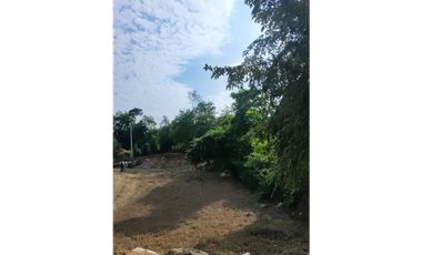 Venta de lote de 1586 M2 en 140 mill en La Mesa Cund, col