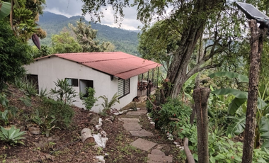 Venta de finca de 3552 M2 en 580 mill en San Antonio del tequendama