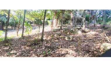 Vendido lote de 1471 M2 en 95 millones en La Mesa Cund, COL