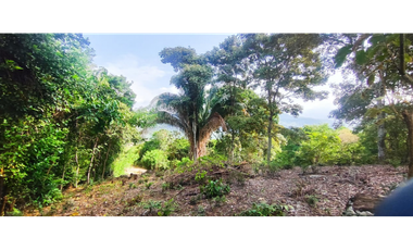 Vendido lote de 1471 M2 en 95 millones en La Mesa Cund, COL