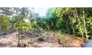 Vendido lote de 1471 M2 en 95 millones en La Mesa Cund, COL