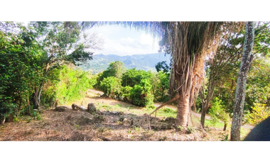 Vendido lote de 1471 M2 en 95 millones en La Mesa Cund, COL