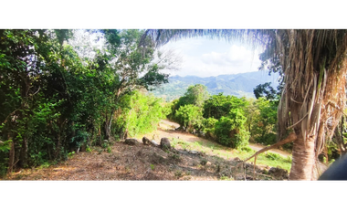 Vendido lote de 1471 M2 en 95 millones en La Mesa Cund, COL