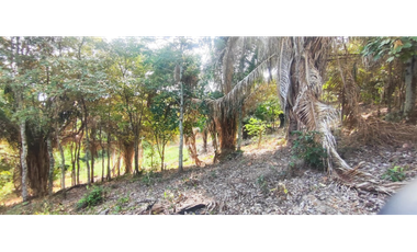 Vendido lote de 1471 M2 en 95 millones en La Mesa Cund, COL