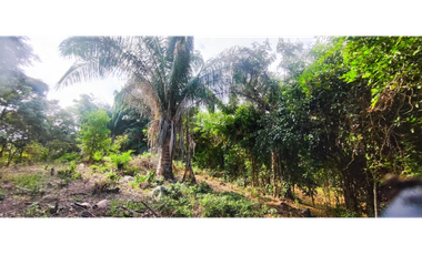 Vendido lote de 1471 M2 en 95 millones en La Mesa Cund, COL