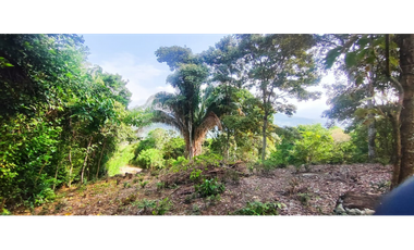 Vendido lote de 1471 M2 en 95 millones en La Mesa Cund, COL