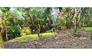 Venta de casalote urbano de 1279 M2 en 550 mill en #lamesacundinamarca