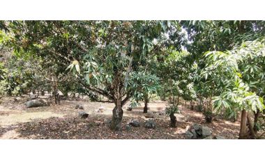 VENDIDO casalote en La Mesa Cund, a 12 min del pueblo