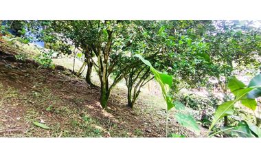 Venta de casalote de 410 M2 en 280 mill neg, se recibe vehículo