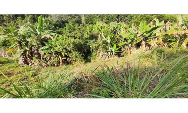 venta de lote de 2327 M2 en 235 mill negociables en La Mesa Cund.