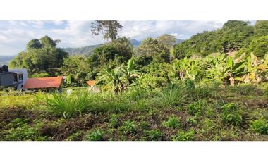 venta de lote de 2327 M2 en 235 mill negociables en La Mesa Cund.