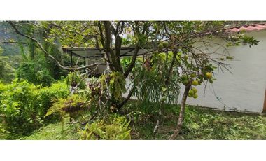 Venta de casalote de 900 M2 en 339 mill en San Javier - La Mesa Cund