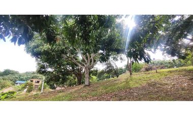 #venta de lote 2037 M2 en 250 mill en La Mesa Cund, a 8 min del pueblo