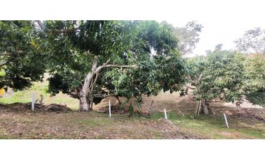 #venta de lote 2037 M2 en 250 mill en La Mesa Cund, a 8 min del pueblo