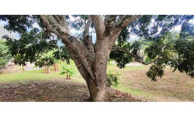 #venta de lote 2037 M2 en 250 mill en La Mesa Cund, a 8 min del pueblo