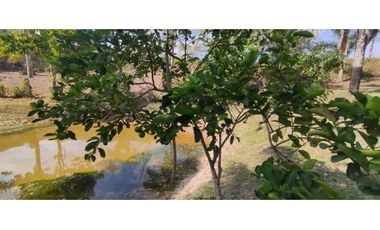 Venta de lote de 2500 M2 en 250 mill con laguna en San joaquin La Mesa