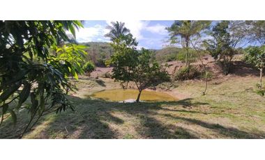 Venta de lote de 2500 M2 en 250 mill con laguna en San joaquin La Mesa