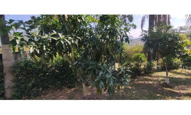 Venta de lote de 2500 M2 en 250 mill con laguna en San joaquin La Mesa