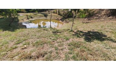 Venta de lote de 2500 M2 en 250 mill con laguna en San joaquin La Mesa