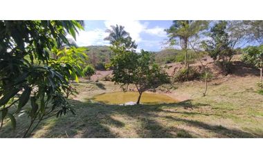 Venta de lote de 2500 M2 en 250 mill con laguna en San joaquin La Mesa