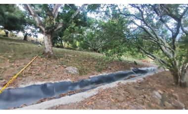 venta de casalote de 500 M2 en 250 mill neg, en La Mesa Cund