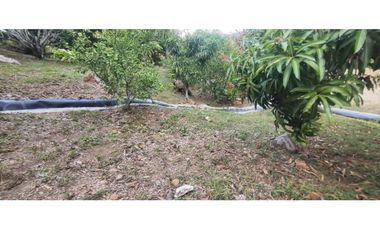 venta de casalote de 500 M2 en 250 mill neg, en La Mesa Cund