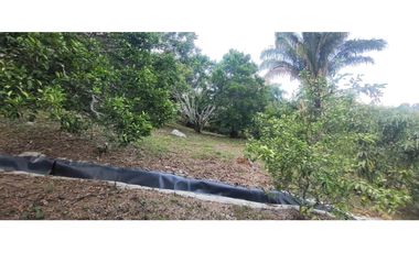 venta de casalote de 500 M2 en 250 mill neg, en La Mesa Cund