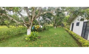 Casalote campestre de 2500 m2 en 650 mill entre La Mesa, con vista.