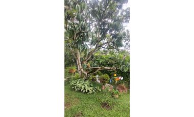 Casalote campestre de 2500 m2 en 650 mill entre La Mesa, con vista.