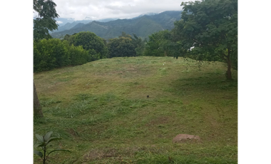 Venta de lote en condominio de 2345 M2  en 225 mill neg, en La Mesa