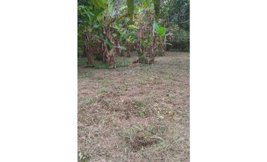 VENDIDO lote de 2000 M2 en 175 mill en San Joaquín - La Mesa Cund