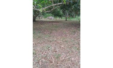 VENDIDO lote de 2000 M2 en 175 mill en San Joaquín - La Mesa Cund