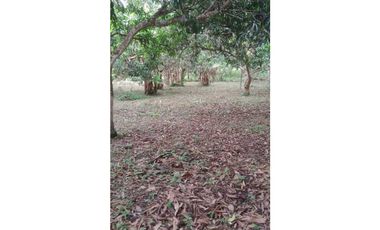 VENDIDO lote de 2000 M2 en 175 mill en San Joaquín - La Mesa Cund