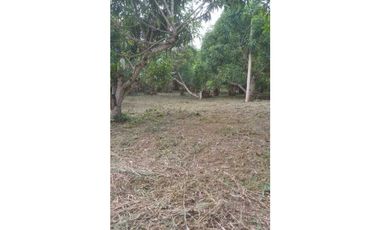 VENDIDO lote de 2000 M2 en 175 mill en San Joaquín - La Mesa Cund