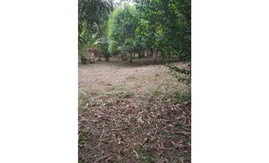 VENDIDO lote de 2000 M2 en 175 mill en San Joaquín - La Mesa Cund