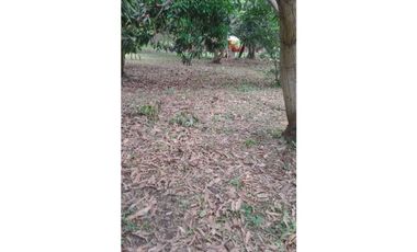 VENDIDO lote de 2000 M2 en 175 mill en San Joaquín - La Mesa Cund