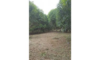 VENDIDO lote de 2000 M2 en 175 mill en San Joaquín - La Mesa Cund