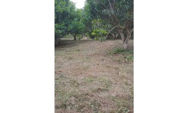 VENDIDO lote de 2000 M2 en 175 mill en San Joaquín - La Mesa Cund